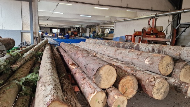 Half of Furniture Manufacturers in Bulgaria Report Worsening Exports, Survey Shows
