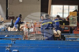 Ракитово - "Палисандър" ООД - дървообработване