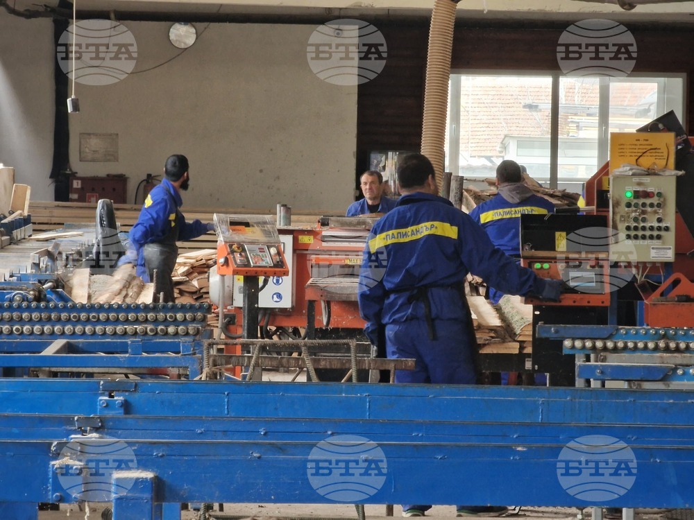 Ракитово - "Палисандър" ООД - дървообработване