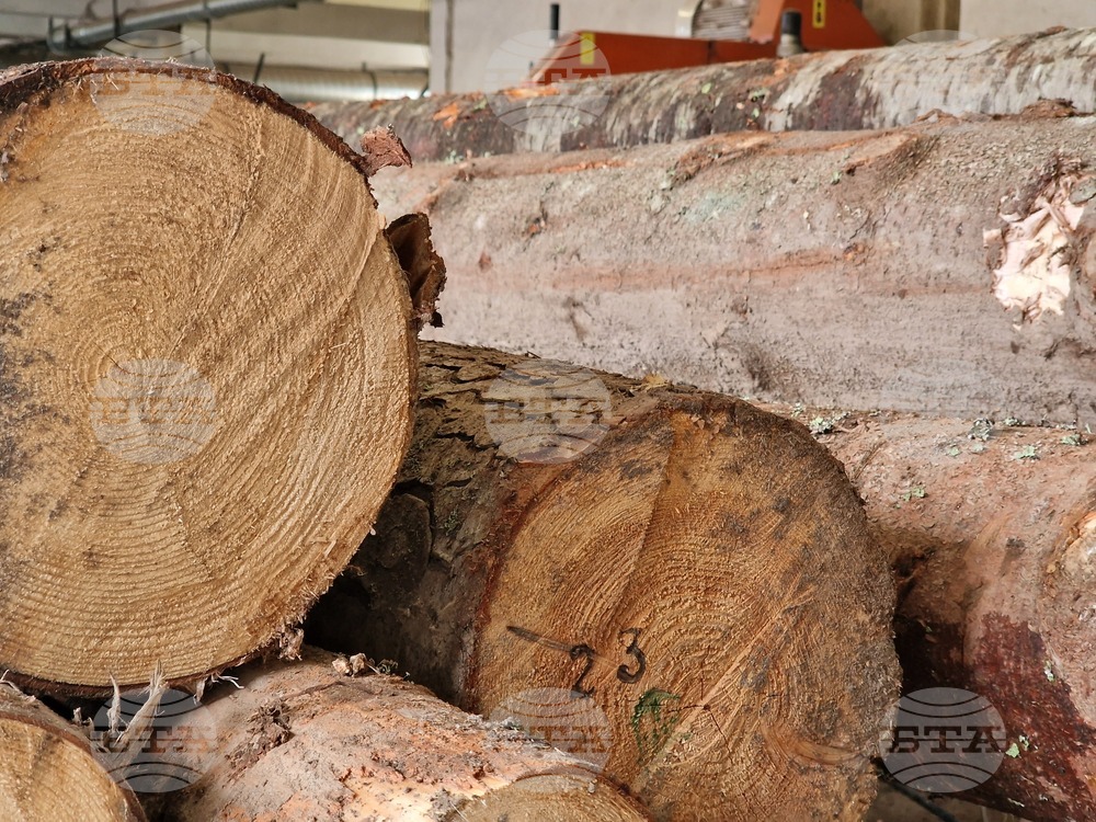 Ракитово - "Палисандър" ООД - дървообработване