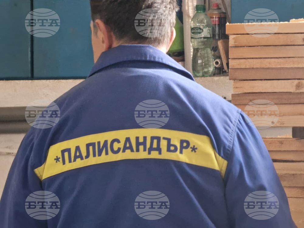 Ракитово - "Палисандър" ООД - дървообработване