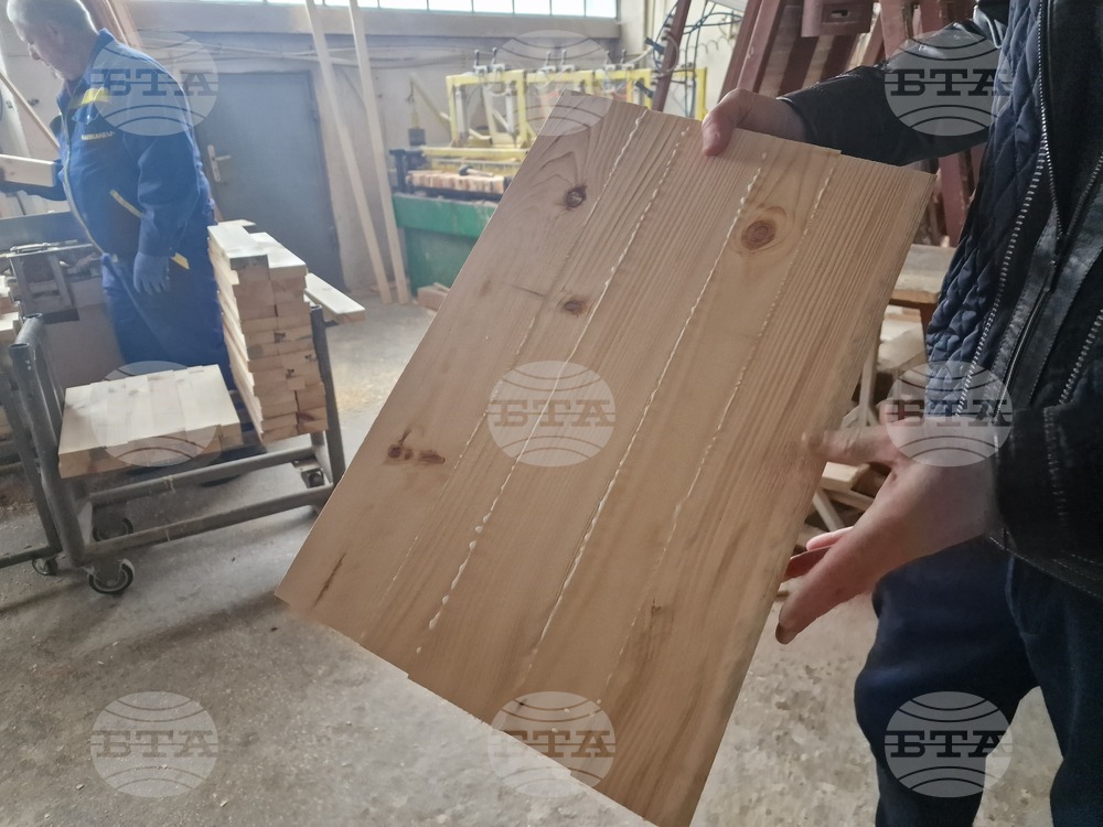 Ракитово - "Палисандър" ООД - дървообработване