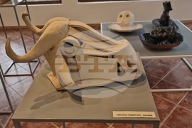 Керамичен пленер „Вода, земя и огън“ - изложба