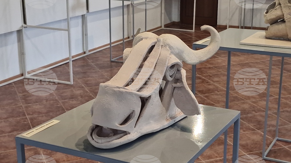 Керамичен пленер „Вода, земя и огън“ - изложба