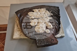 Керамичен пленер „Вода, земя и огън“ - изложба