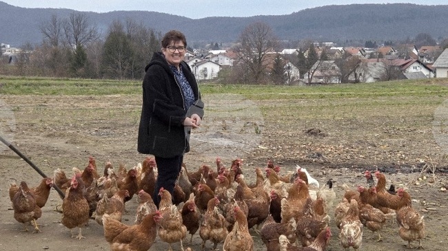 ХИНА: Зависимостта от внос повишава риска от повишаване на цените на храните, предупреди Хърватската асоциация на работодателите