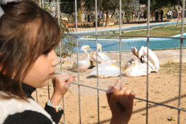Libya Daily Life