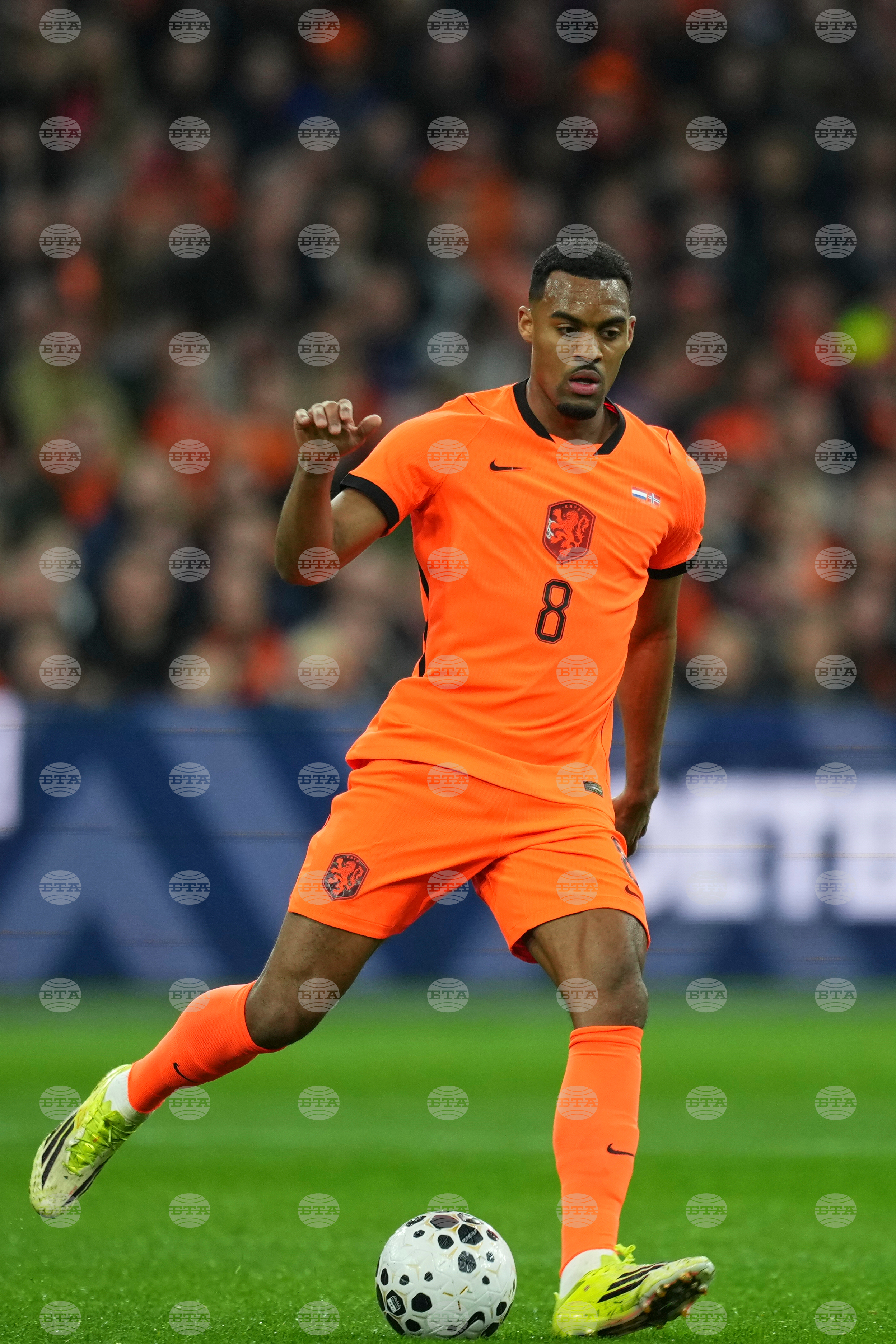 Netherlands Norway Soccer