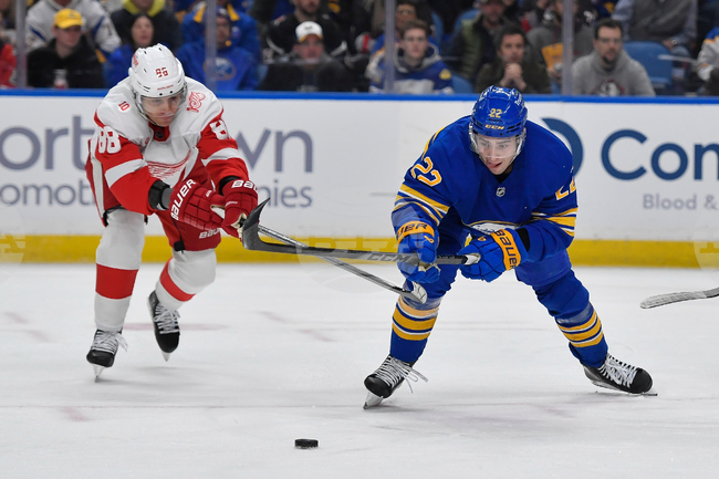 Red Wings Sabres Hockey