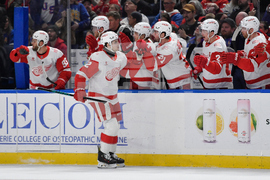 Red Wings Sabres Hockey