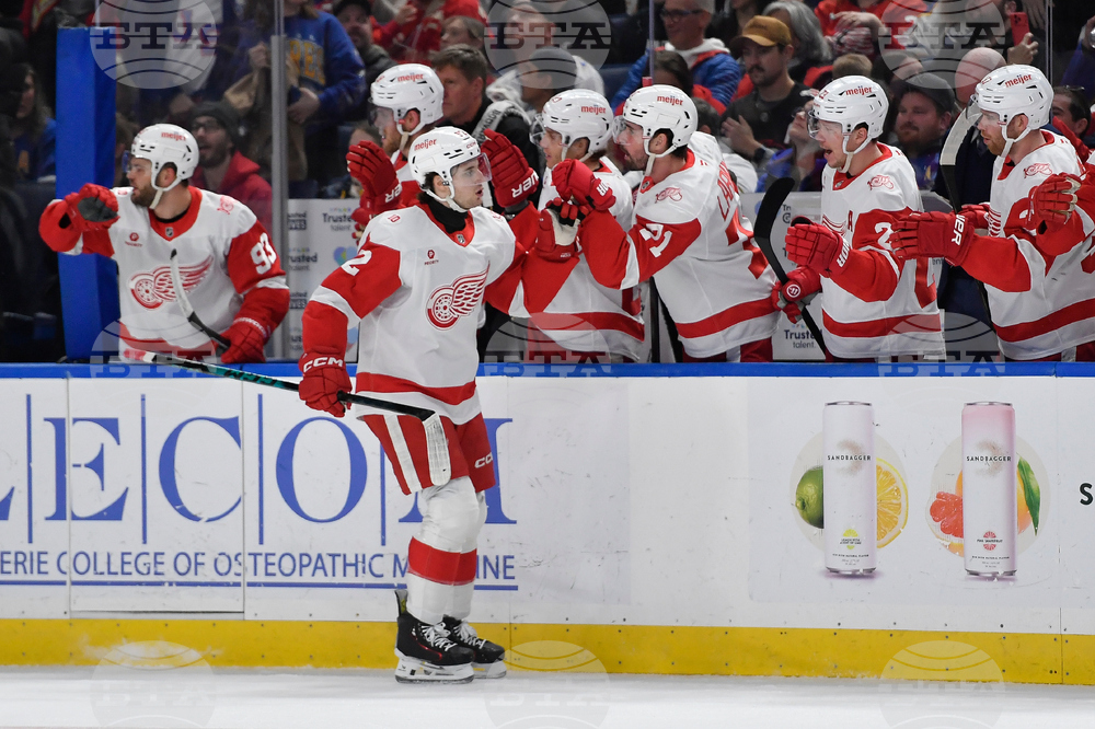 Red Wings Sabres Hockey