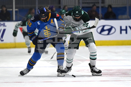 PWHL Fleet Sceptres Hockey