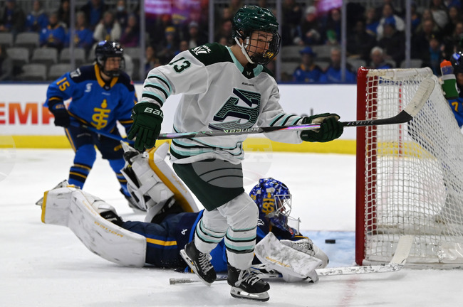 Sceptres Fleet Hockey