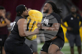 Arizona St Pro Day Football
