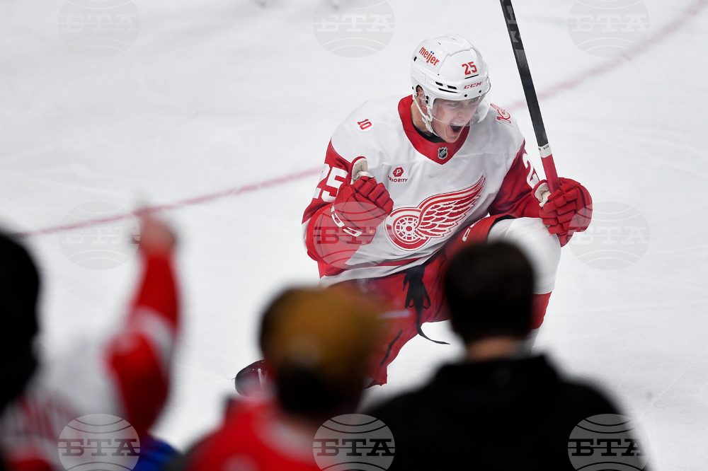 Red Wings Sabres Hockey