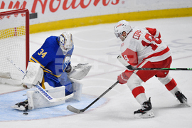 Red Wings Sabres Hockey