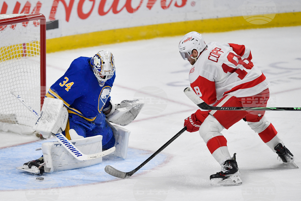 Red Wings Sabres Hockey