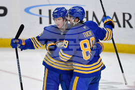 Red Wings Sabres Hockey