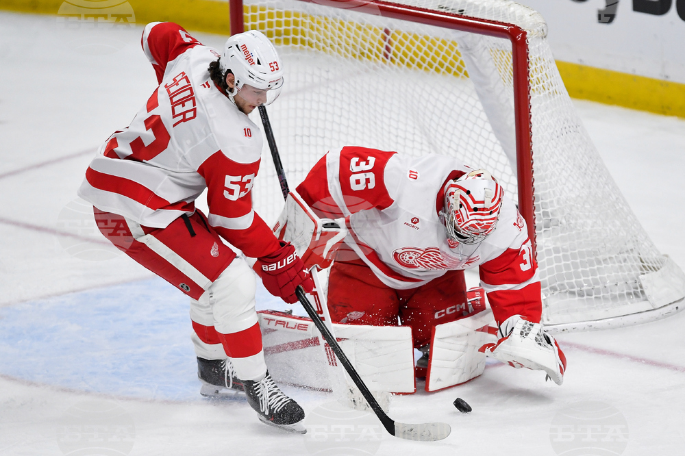 Red Wings Sabres Hockey
