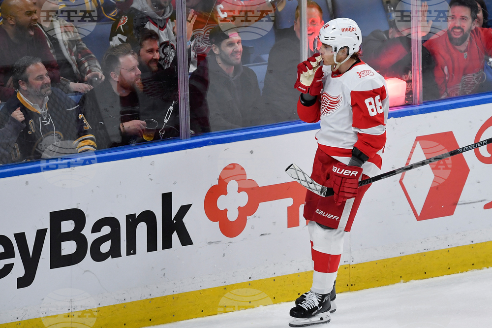 Red Wings Sabres Hockey