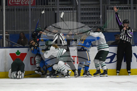 PWHL Fleet Sceptres Hockey