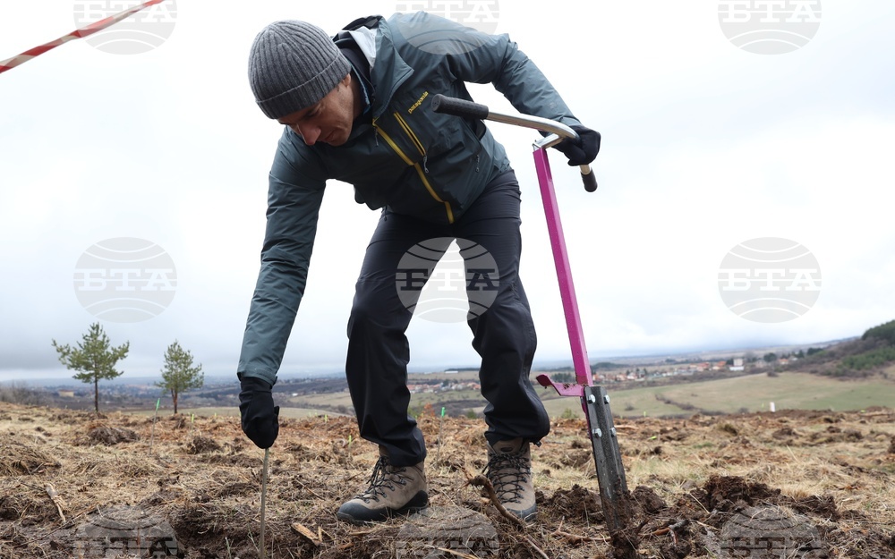 Банкя - „Новата гора на София“ - кампания за засаждане на дървета