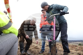 Банкя - „Новата гора на София“ - кампания за засаждане на дървета