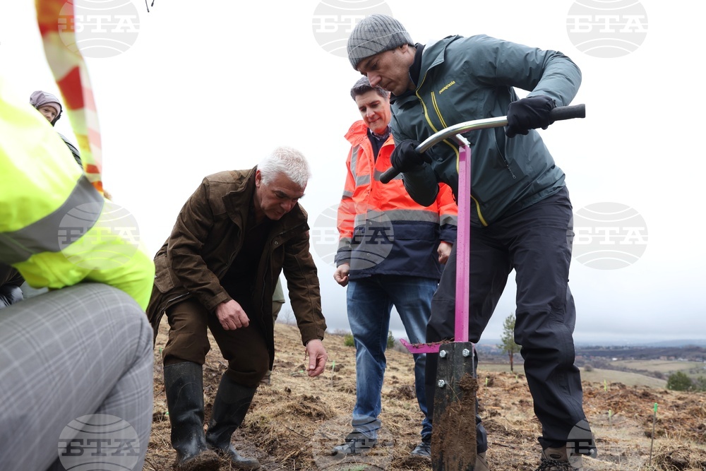 Банкя - „Новата гора на София“ - кампания за засаждане на дървета