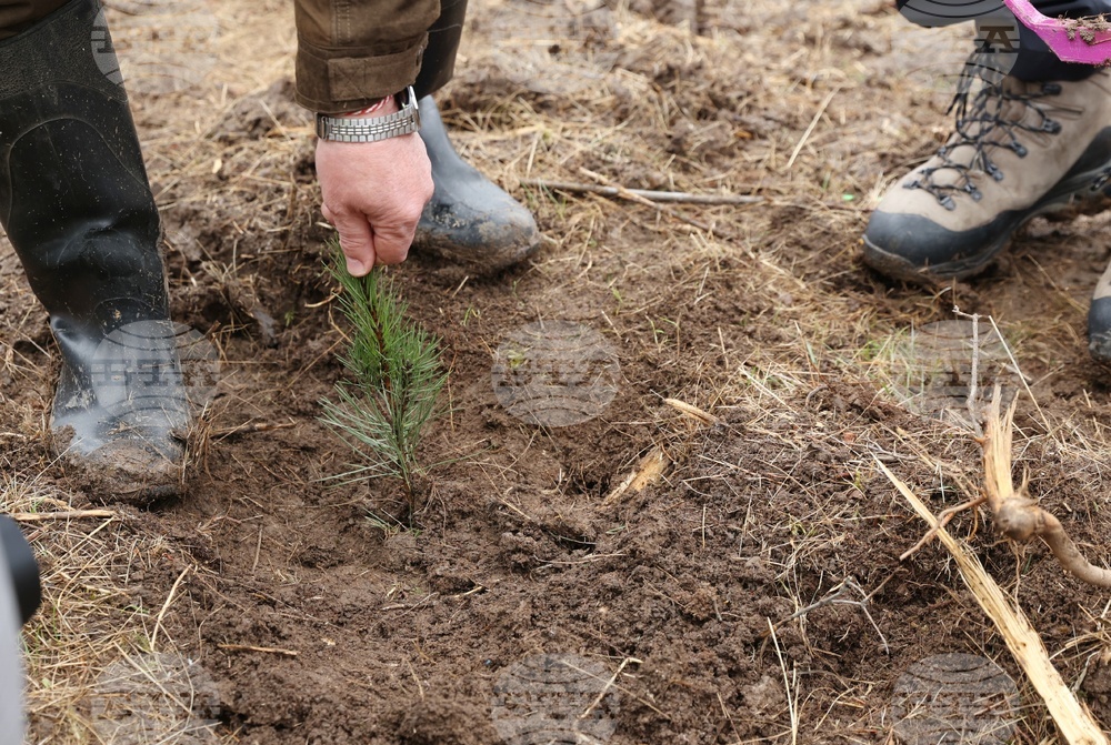 Банкя - „Новата гора на София“ - кампания за засаждане на дървета