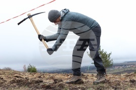Банкя - „Новата гора на София“ - кампания за засаждане на дървета