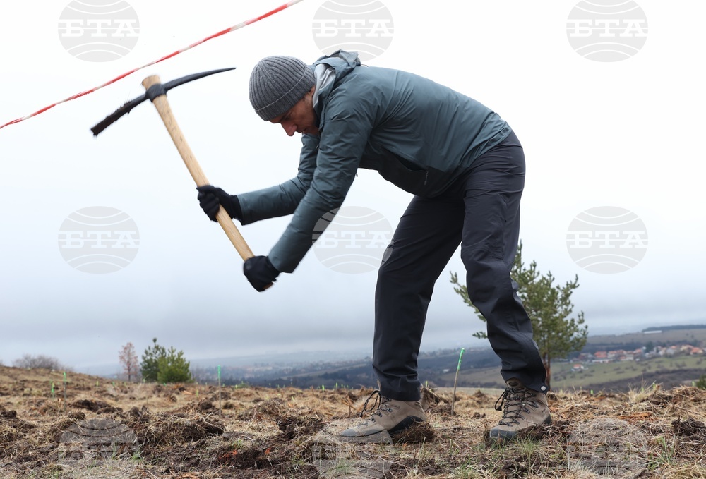 Банкя - „Новата гора на София“ - кампания за засаждане на дървета