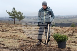 Банкя - „Новата гора на София“ - кампания за засаждане на дървета