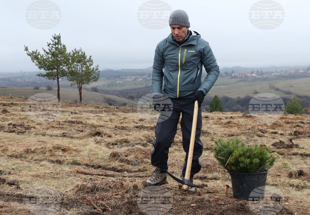 Банкя - „Новата гора на София“ - кампания за засаждане на дървета