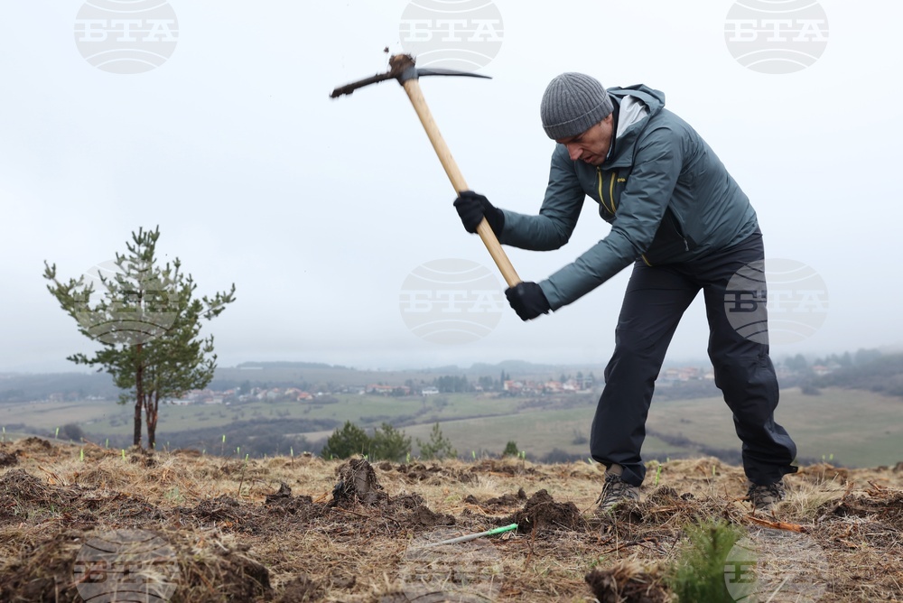 Банкя - „Новата гора на София“ - кампания за засаждане на дървета