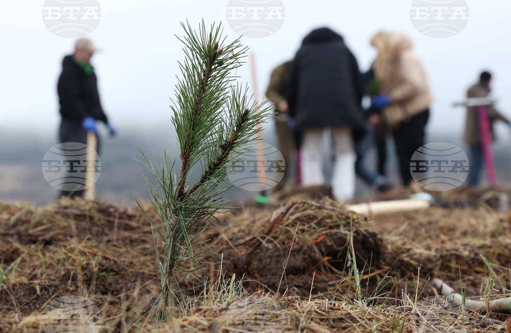 Банкя - „Новата гора на София“ - кампания за засаждане на дървета
