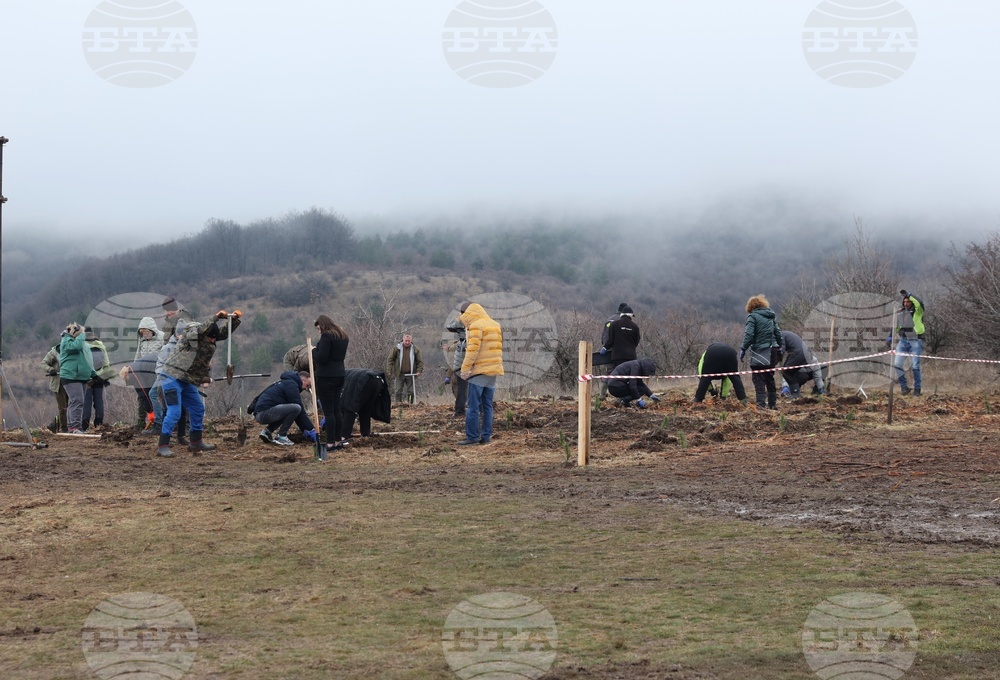 Банкя - „Новата гора на София“ - кампания за засаждане на дървета