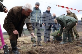 Банкя - „Новата гора на София“ - кампания за засаждане на дървета