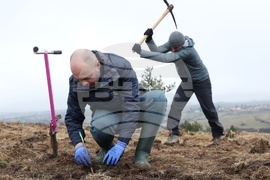 Банкя - „Новата гора на София“ - кампания за засаждане на дървета