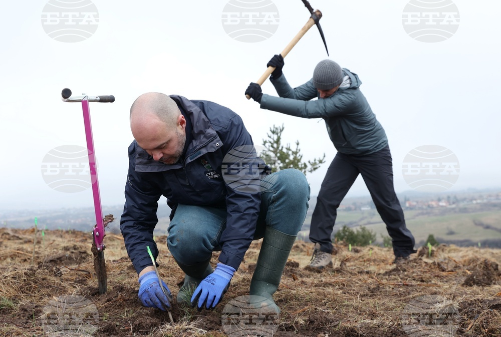 Банкя - „Новата гора на София“ - кампания за засаждане на дървета