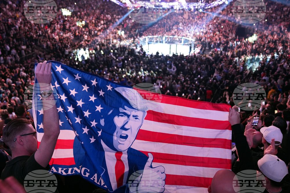 Trump UFC