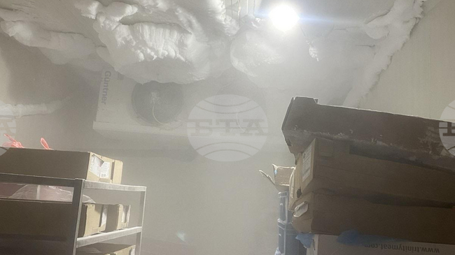 БАБХ затвори месопреработвателно предприятие в Монтана заради нарушения на хигиенните изисквания, съобщават от институцията