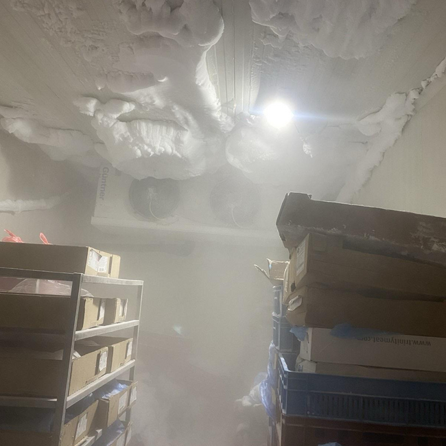 БАБХ затвори месопреработвателно предприятие в Монтана заради нарушения на хигиенните изисквания, съобщават от институцията