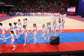 Световна купа по художествена гимнастика - откриване