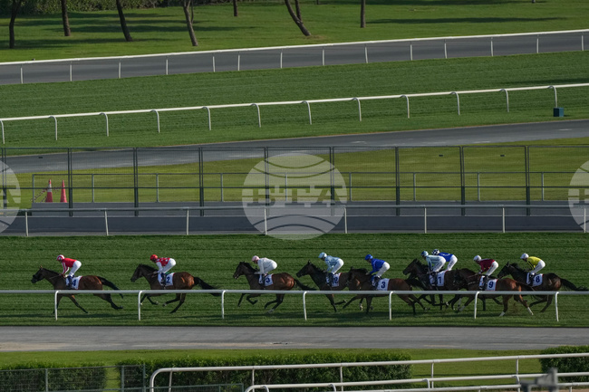 Emirates Dubai World Cup Horse Racing