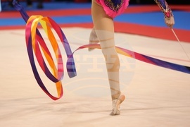 Световна купа по художествена гимнастика