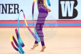 Световна купа по художествена гимнастика