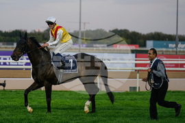 Emirates Dubai World Cup Horse Racing