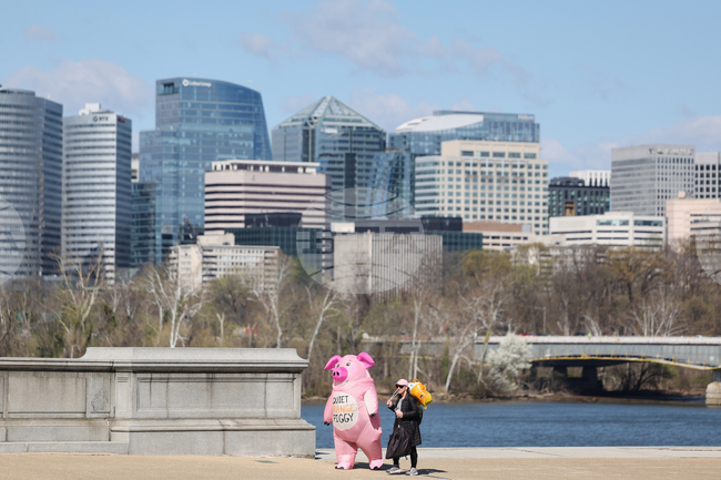 No Kings Protests Washington
