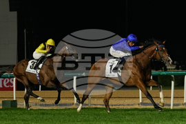 Emirates Dubai World Cup Horse Racing