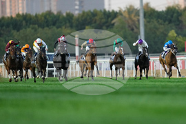 CORRECTION Emirates Dubai World Cup Horse Racing
